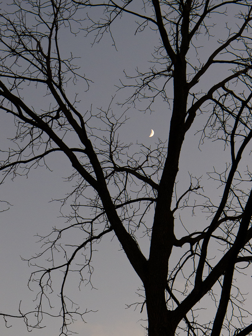Crescent Moonrise, Pangborn Park, Hagerstown, Maryland, December