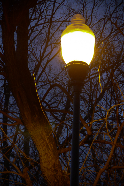 Nightfall With Streetlamp, Hagerstown, Maryland, Dece,ber 2012