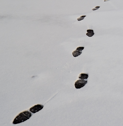 Don't Look Back, Pangborn Park, Hagerstown, Maryland, January 20