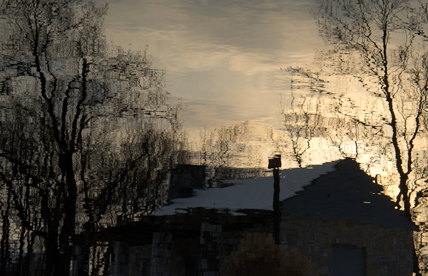 Drowning in Reflection, Pangborn Park, Hagerstown, Maryland, Jan