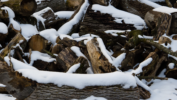 Woodpile, Pangborn Park, Maintenance Area, Hagerstown, Maryland,