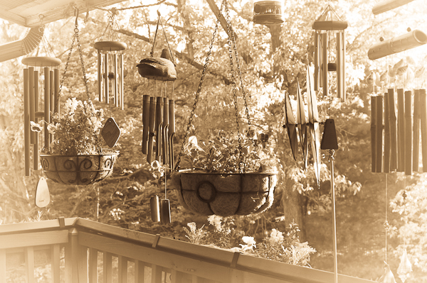 Balcony Garden in Sepia, 2007