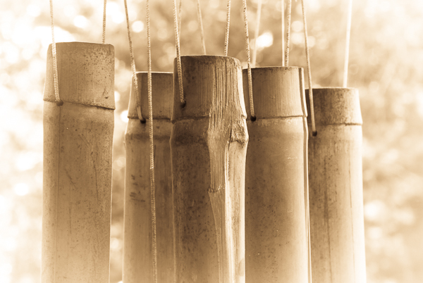 Wooden Chimes, Balcony Garden in Sepia, 2007
