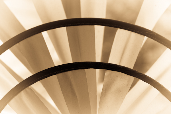 Pinwheel, Balcony Garden in Sepia, 2007