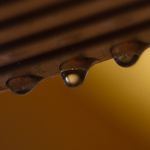 2013-01-30-D200-a-001