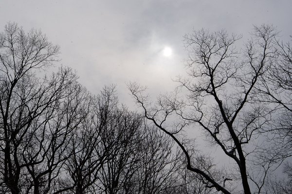 2013-02-03-Lx5-a-013