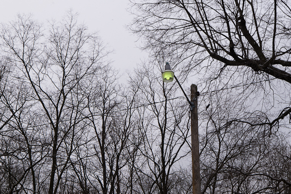 2013-02-03-Lx5-a-014