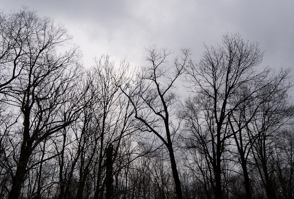 2013-02-03-Lx5-a-047