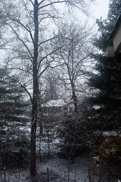 2013-02-05-Lx5-a-005