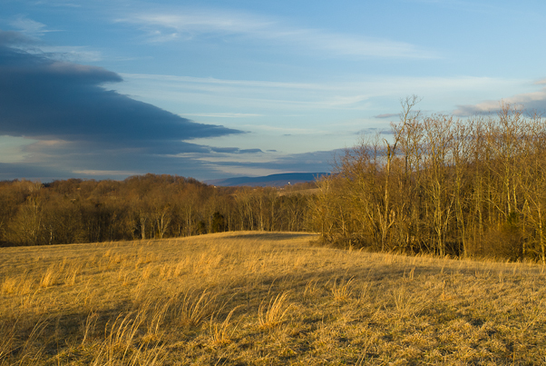 Hillside at Sunset, Antietam Battlefield, Sharpsburg, Maryland,