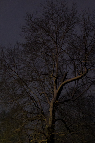 Dawn, Hunter Hill, Hagerstown, Maryland, March 6, 2012