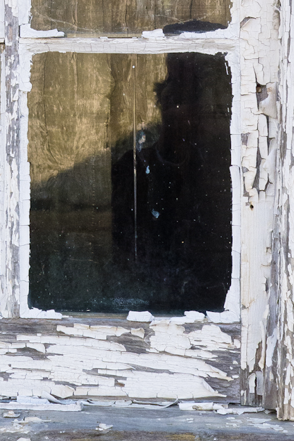 Ghost?  Detail, Window, Outbuilding, Mumma Farm, Antietam Nation