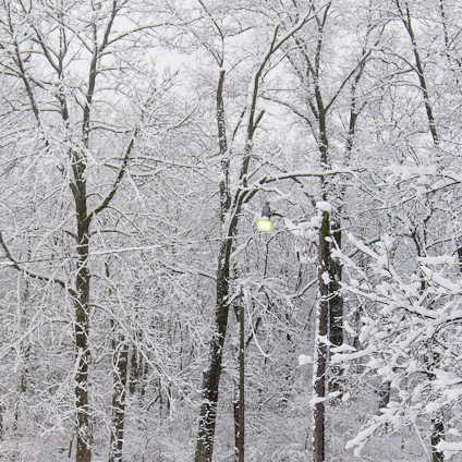 Fifth Day of Spring,, Hunter Hill, March 24, 2013