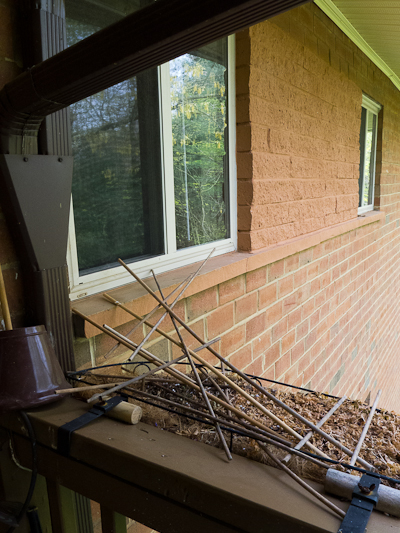 Robin Defense, Hunter Hill, April 2013