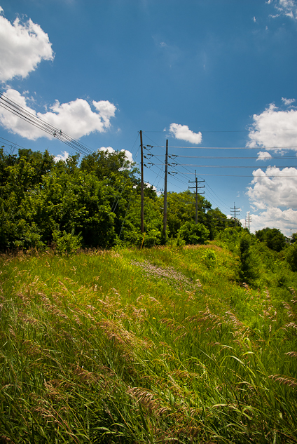 Powerline, Fairgrounds Park, Hagerstown, Maryland, June 29, 2013