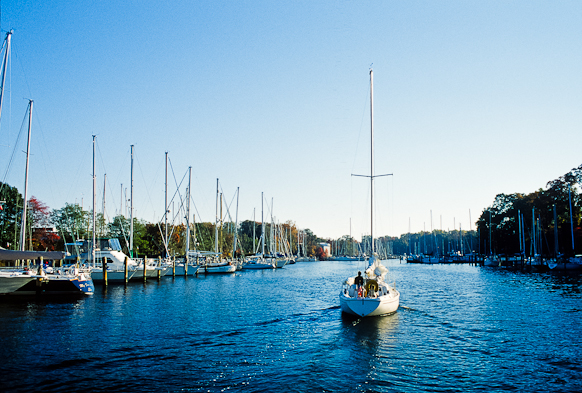 Homeward Bound, Sailing, Back Creek, Chesapeake Bay, Maryland, O