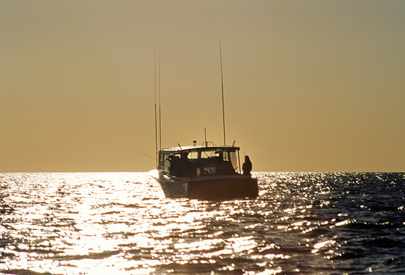 Backlighted, Later Afternoon, Chesapeake Bay, Maryland, May 26,
