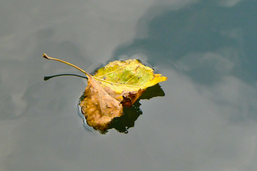 2013-08-31-Lx5-a-002