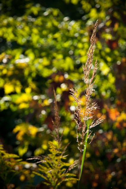 Pangborn Park, Hagerstown, Maryland, September 8, 2013