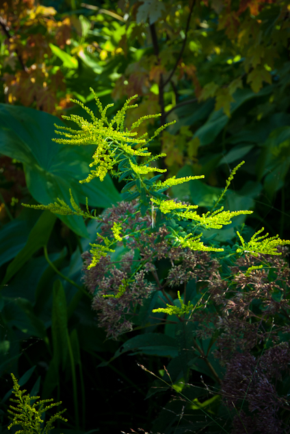 Pangborn Park, Hagerstown, Maryland, September 8, 2013