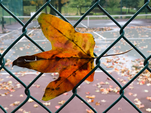 2013-10-13-Lx5-a-025