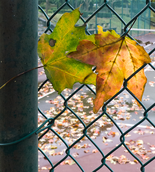 2013-10-13-Lx5-a-026