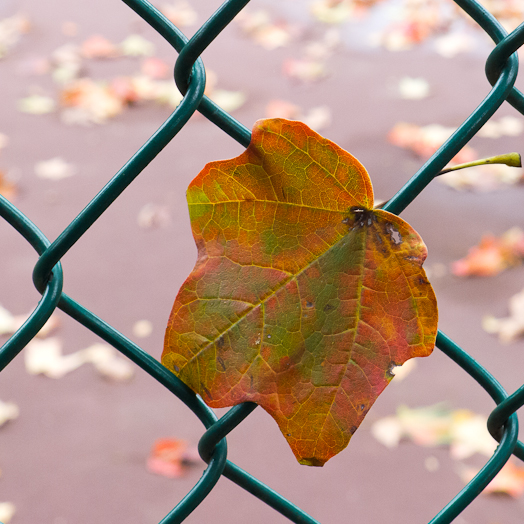 2013-10-13-Lx5-a-028