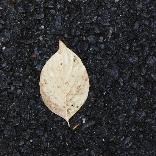 2013-10-13-Lx5-a-041