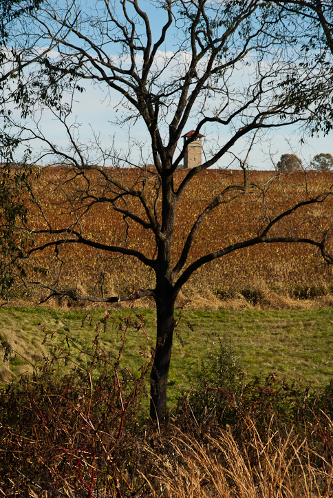 Tower, Bloody Lane, Obstructed, Autumn, Antietam National Battle