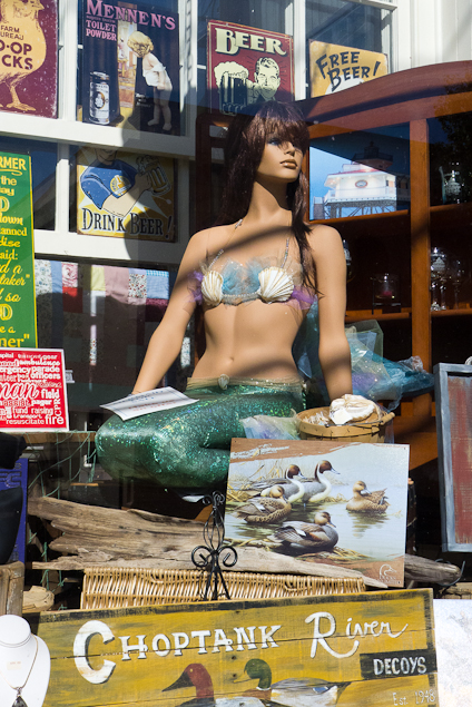 Mermaid for Sale, Shop Window, Cambridge, Maryland, October 26,