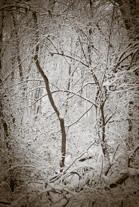 Inverse, Snow Day, Hunter Hill, Hagerstown, Maryland, December 1