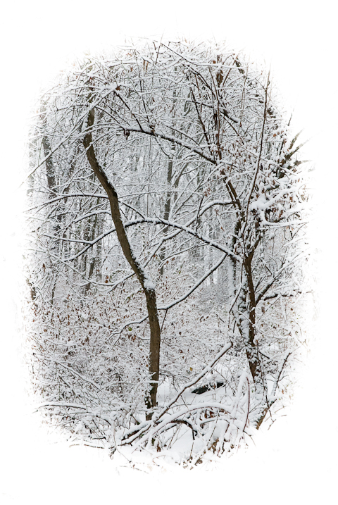 Snow Day, Hunter Hill, Hagerstown, Maryland, December 14, 2013