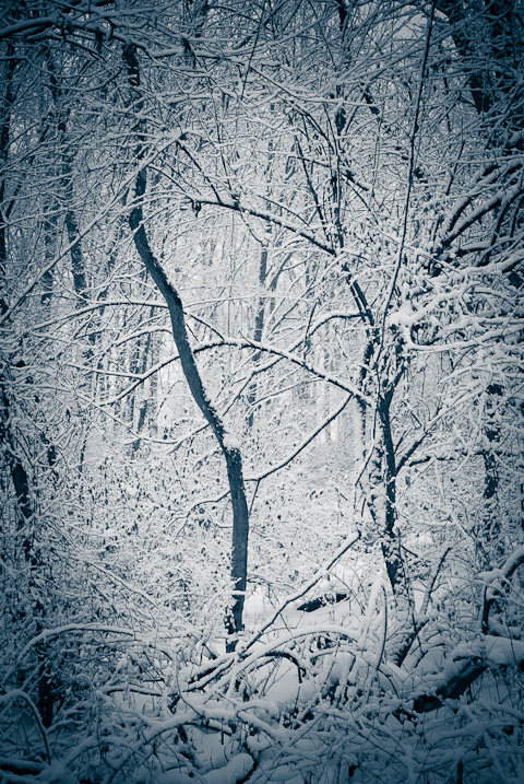 Inverse, Snow Day, Hunter Hill, Hagerstown, Maryland, December 1