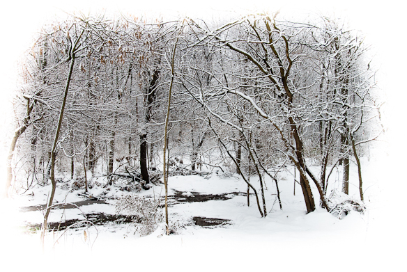 Snow Day, Hunter Hill, Hagerstown, Maryland, December 14, 2013