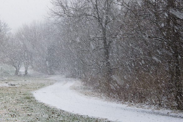 Snowy Path, Winter Afternoon, Hunter Hill, Hagerstown, Maryland,