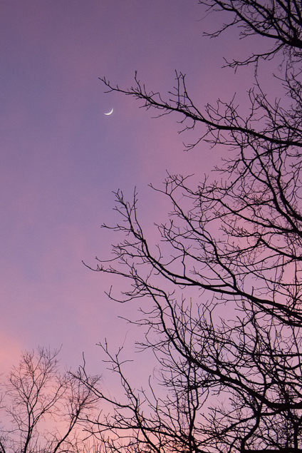 Crescent, Hunter Hill, Hagerstown, Maryland, January 4, 2014