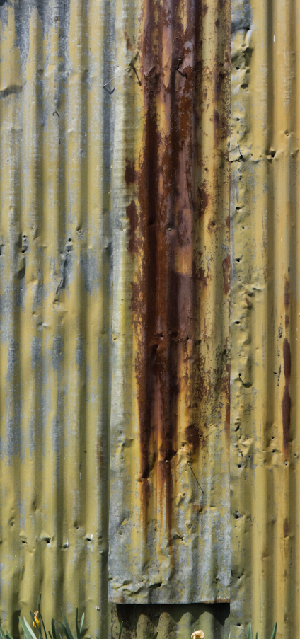 Detail, Corrugated Sheet, Shed, Private Garden, Cambridge, Maryl