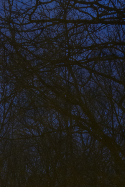 Indigo Dusk Through Screen, Hunter Hill, April 14, 2014