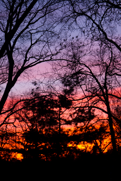 Window View, Sunset, Hunter Hill, April 19, 2014
