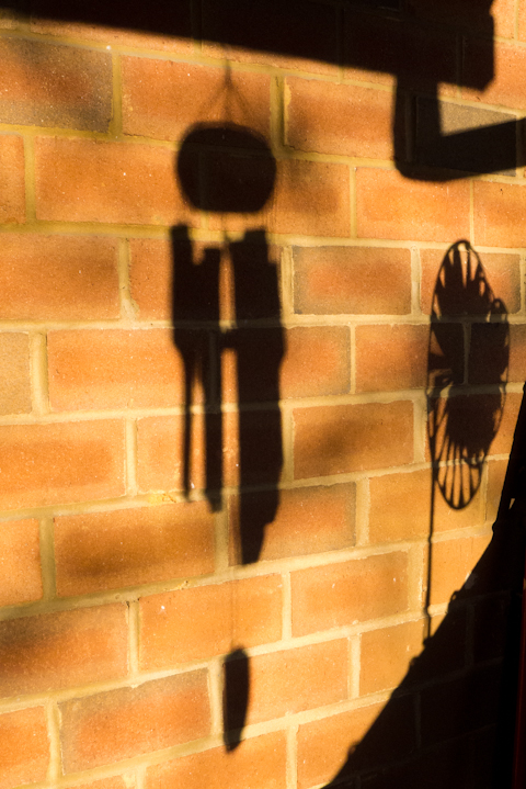 Garden Shadows, Sunset, Balcony Garden, Hunter Hill, April 27, 2