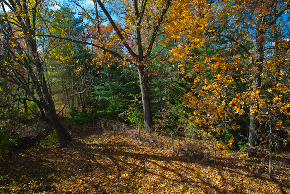 2014-11-02-D200-a-033