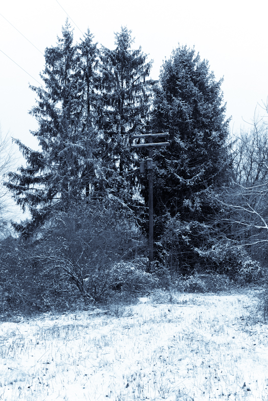 Cool Tint, Hunter Hill, December 16, 2008