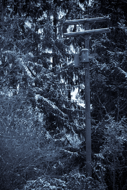 Cool Tint, Hunter Hill, December 16, 2008