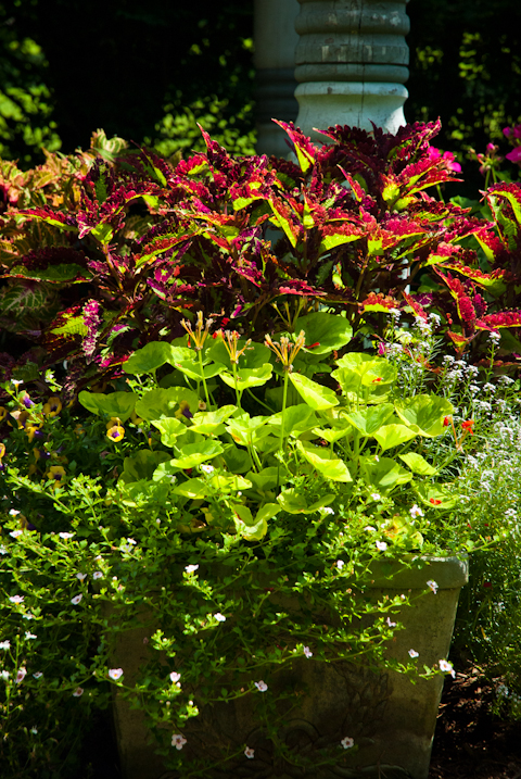 Surreybrooke Gardens, Middletown, Maryland, June 22, 2015